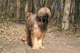 BRIARD 008